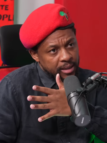 File:Mbuyiseni Ndlozi, April 2024 (cropped).png