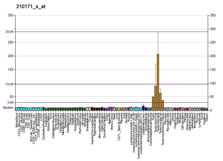 File:PBB GE CREM 210171 s at fs.png