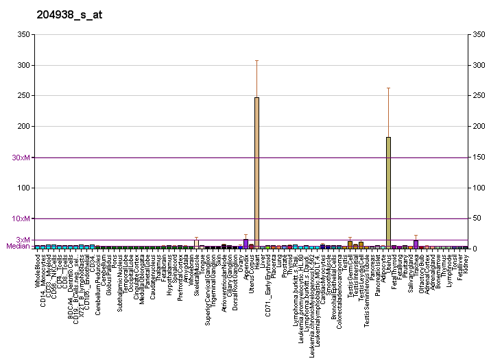 File:PBB GE PLN 204938 s at fs.png