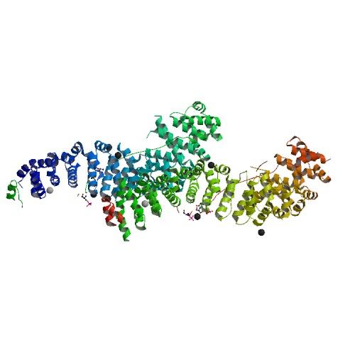 File:PBB Protein CDH1 image.jpg