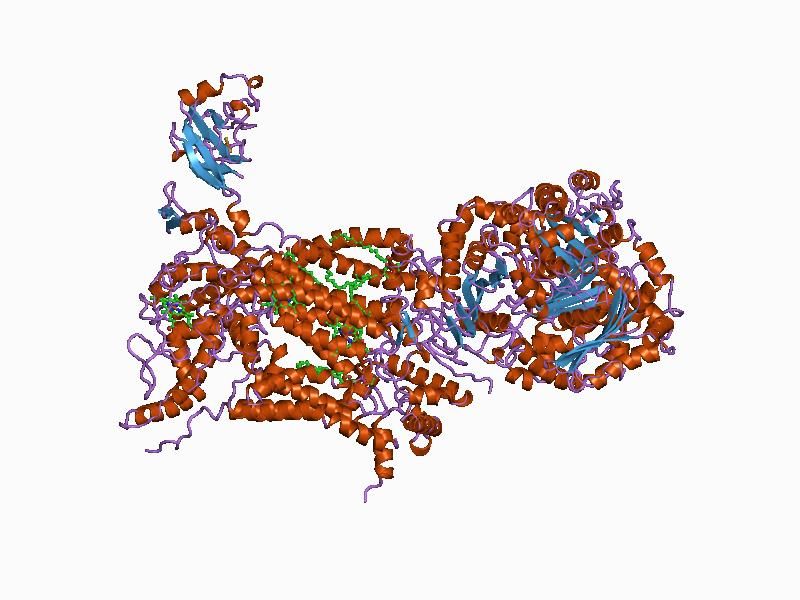 File:PDB 1bcc EBI.jpg