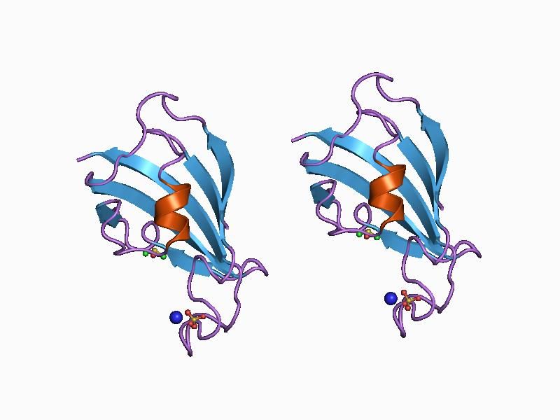 File:PDB 1d7h EBI.jpg