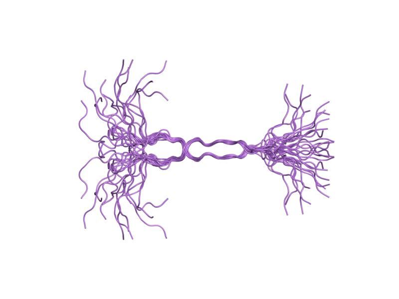 File:PDB 1ejp EBI.jpg