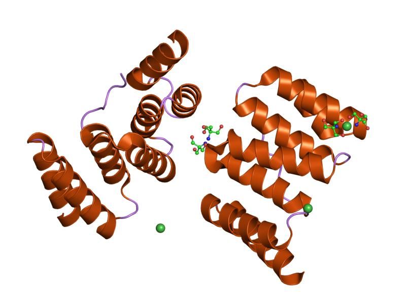 File:PDB 1elw EBI.jpg