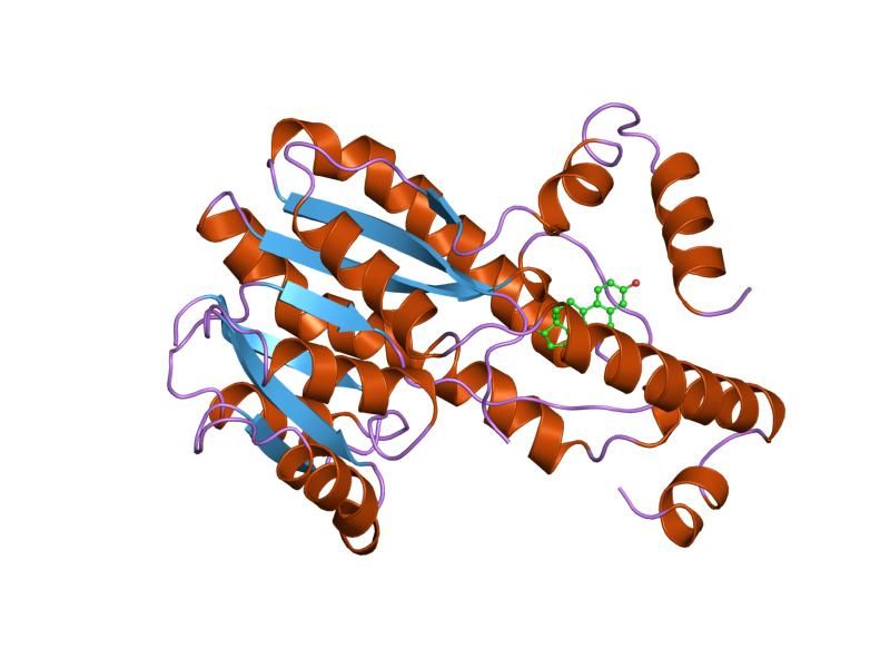 File:PDB 1fdw EBI.jpg