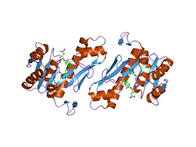 File:PDB 1rc0 EBI.jpg