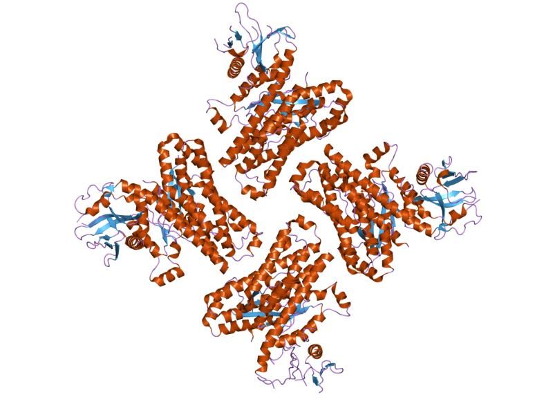 File:PDB 1x86 EBI.jpg