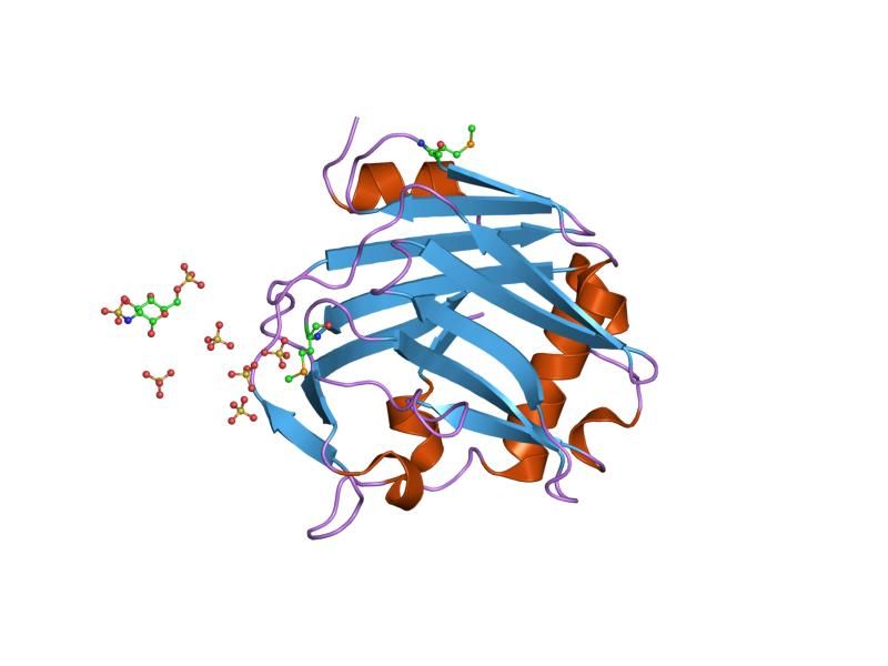 File:PDB 1za4 EBI.jpg