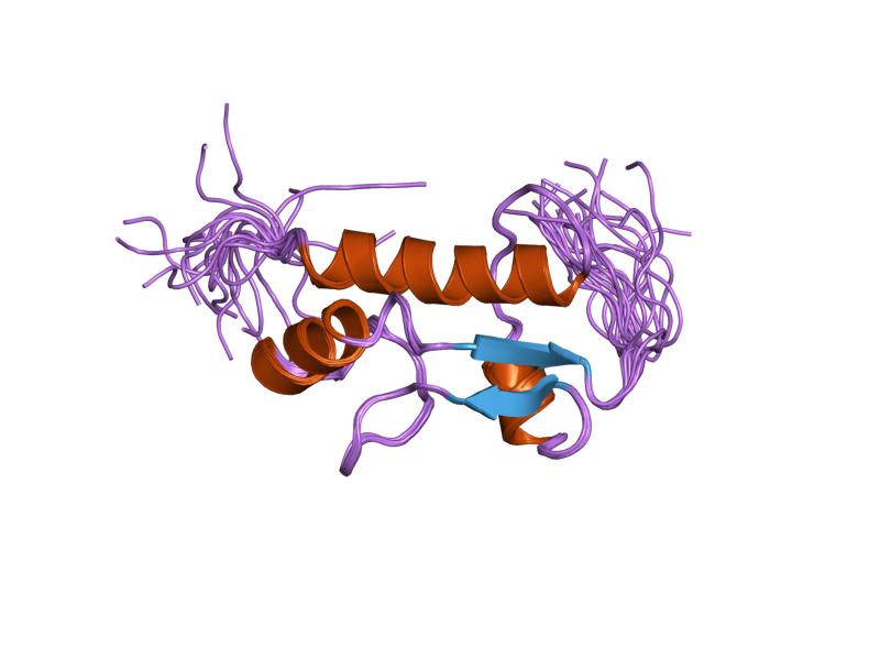 File:PDB 2dn5 EBI.png