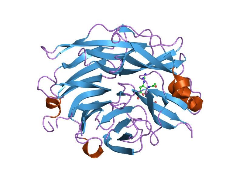 File:PDB 2f0z EBI.jpg