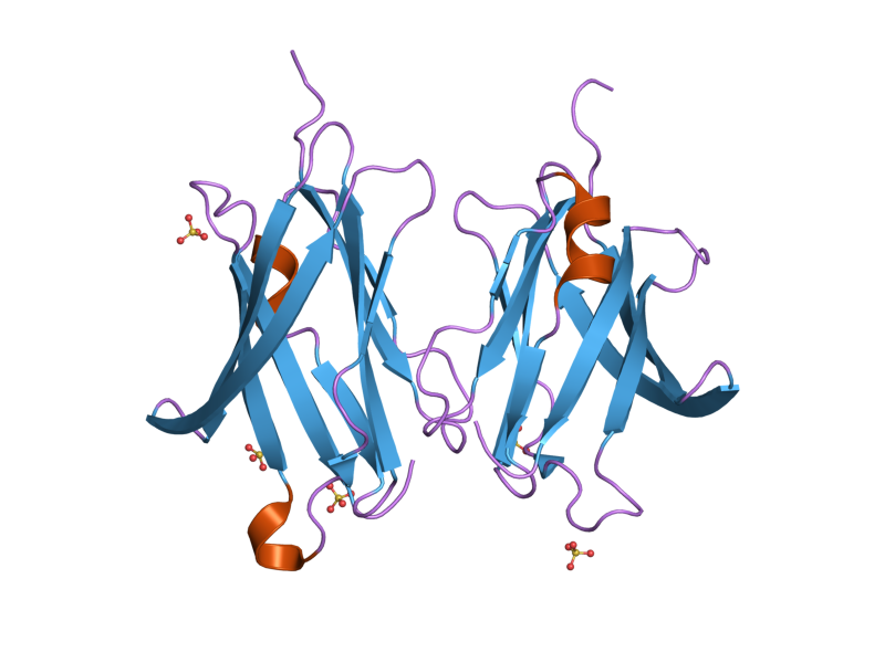 File:PDB 2jhw EBI.png