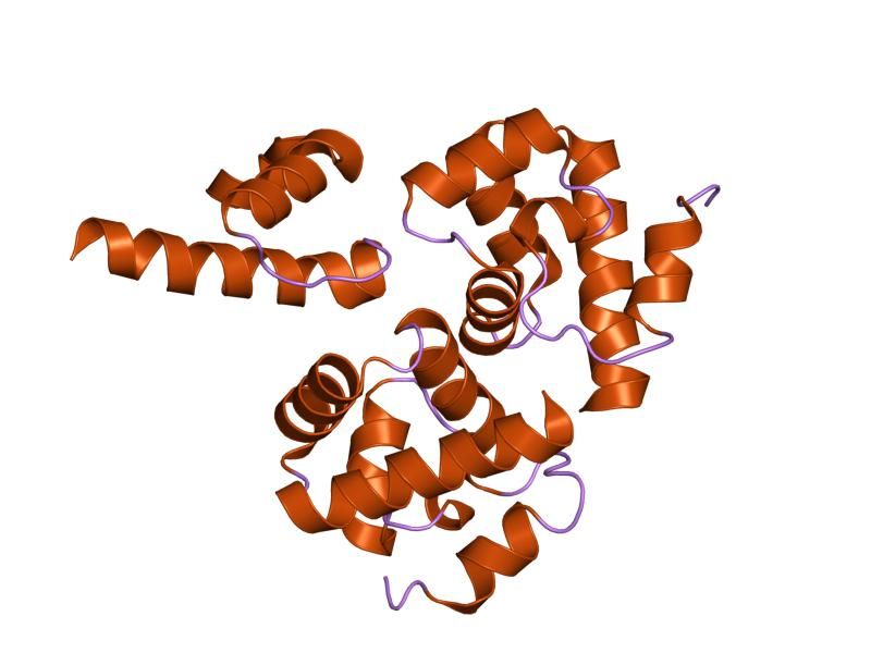 File:PDB 2odg EBI.jpg