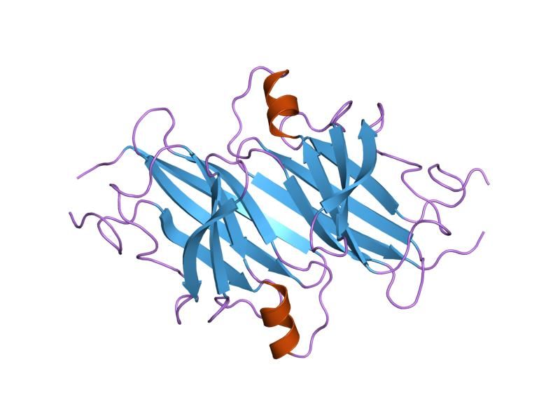 File:PDB 2try EBI.jpg