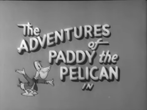 File:Paddy the Pelican title card.png