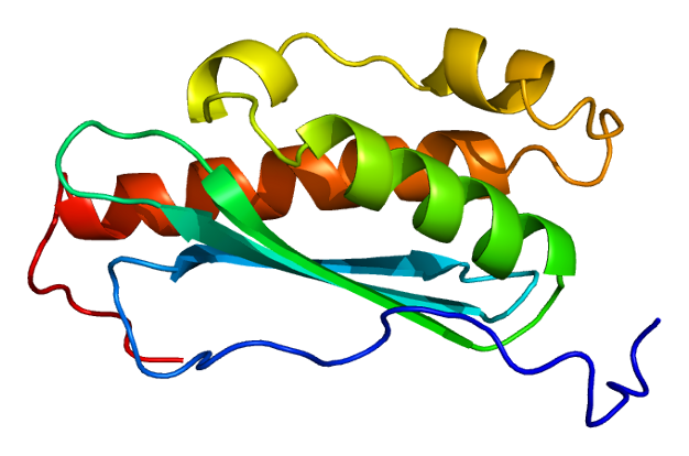 File:Protein ISCU PDB 1wfz.png