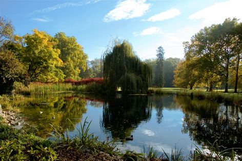 File:SchlossEggenbergSchlosspark.jpg