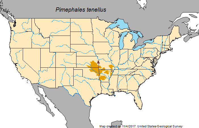 File:Slim minnow range map.png