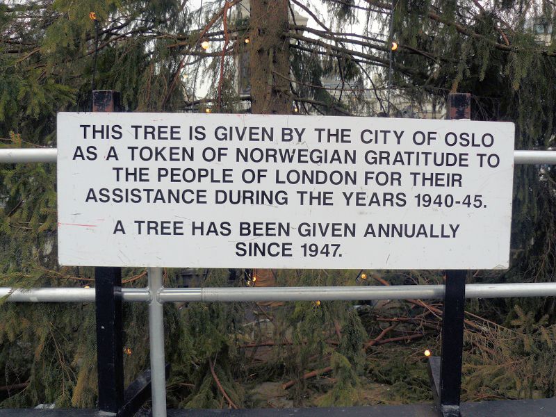 File:Trafalgar Square Christmas tree3.jpg