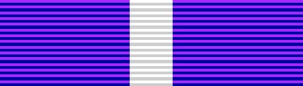 File:Utah Joint Medal for Merit ribbon.JPG