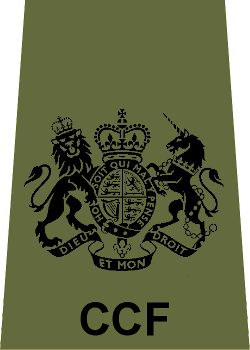 File:Adult NCO CCF WO Rank Slide.png