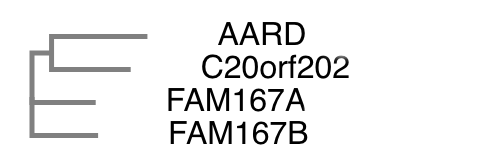 File:C20orf202 paralogs.png