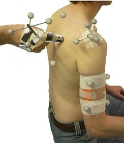 File:Manual palpation palpator.jpg