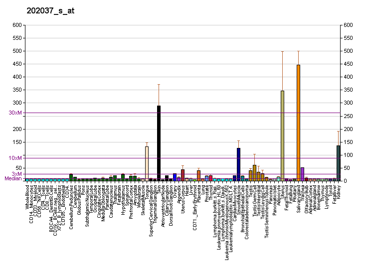 File:PBB GE SFRP1 202037 s at fs.png