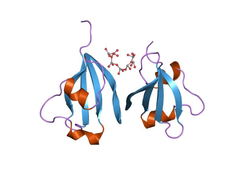 File:PDB 1dkt EBI.jpg