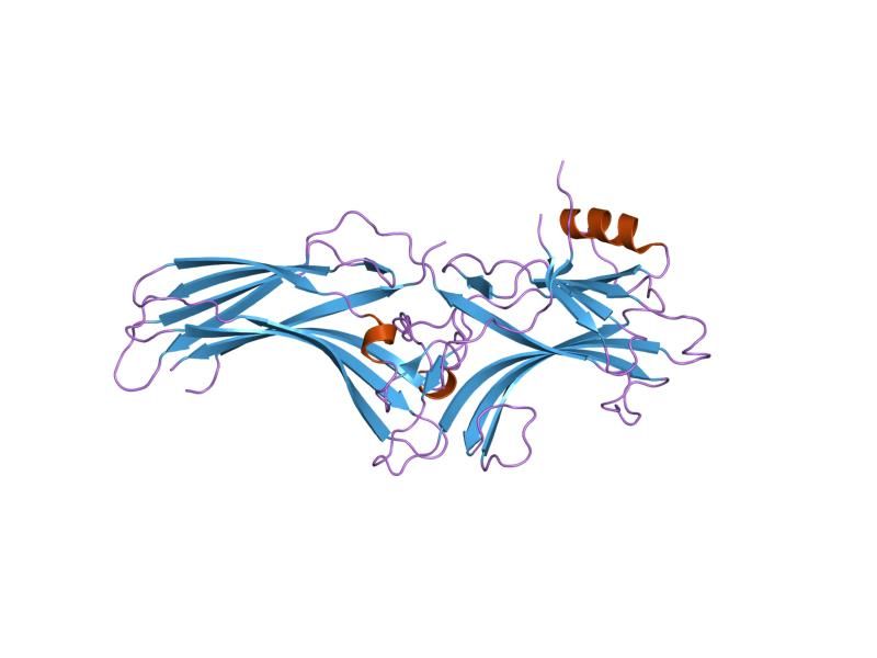 File:PDB 1jsy EBI.jpg