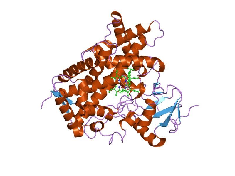 File:PDB 1r9o EBI.jpg