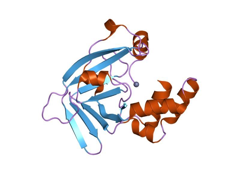 File:PDB 1txl EBI.jpg