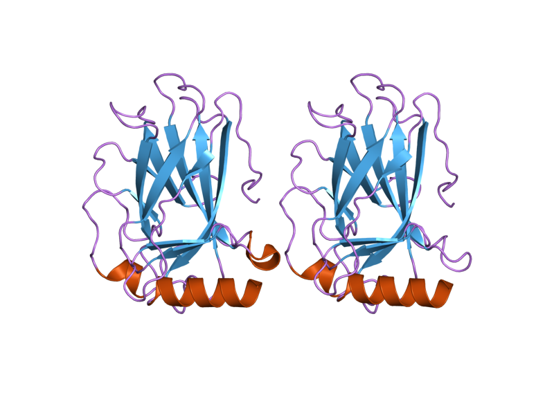 File:PDB 2j1z EBI.png