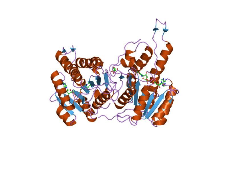 File:PDB 2o23 EBI.jpg