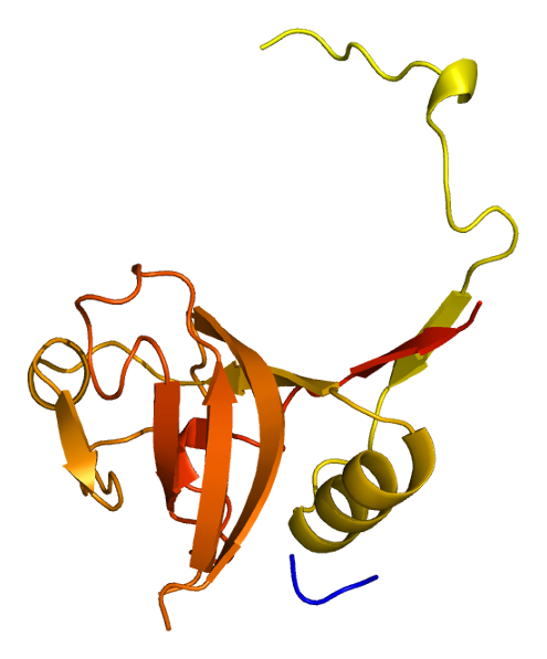 File:Protein CTSL1 PDB 1cjl.png