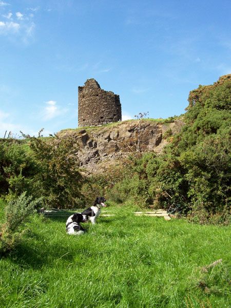 File:Ruined watch-tower - geograph.org.uk - 237310.jpg