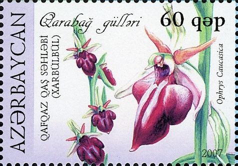 File:Stamps of Azerbaijan, 2007-801.jpg