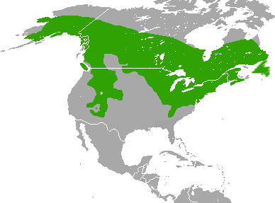 File:Tamiasciurus hudsonicus range map.png