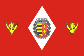 File:Bandeira Cedral.png