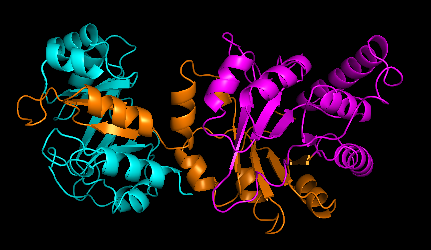 File:Fig 7 pymol enzyme.png