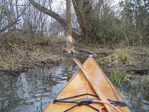 File:Kayak and beaver work.jpg