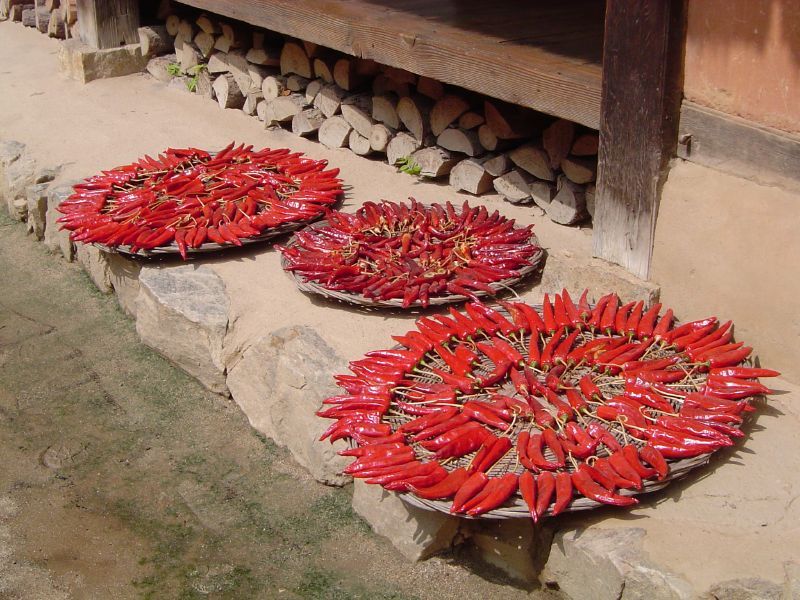 File:Korean.Folk.Village-Minsokchon-02.jpg