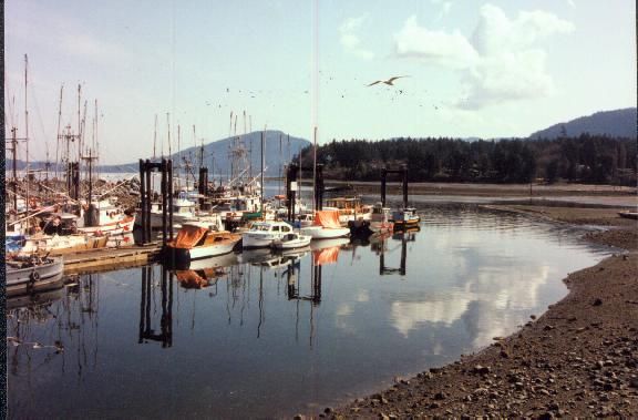 File:North Cowichan Skyline.jpg