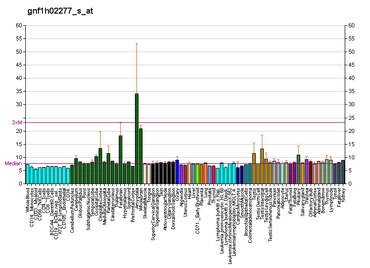 File:PBB GE MAP6 gnf1h02277 s at fs.png