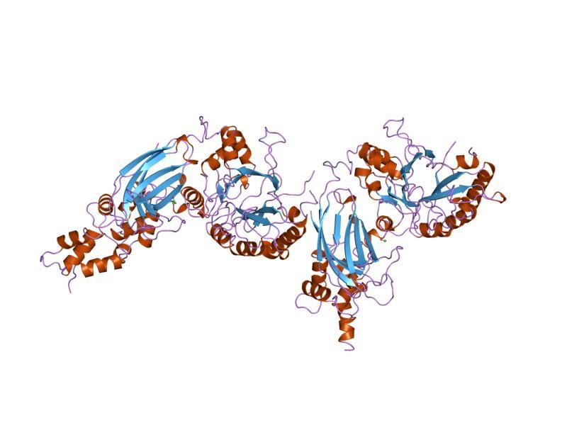 File:PDB 1djh EBI.jpg