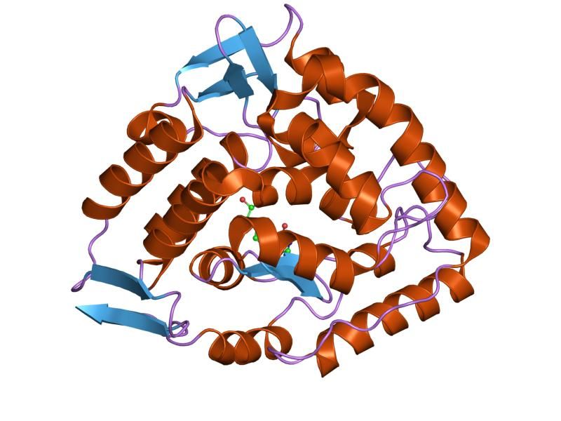 File:PDB 1dmw EBI.jpg