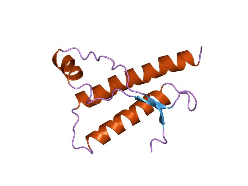 File:PDB 1dx0 EBI.jpg