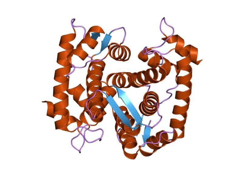 File:PDB 1f4q EBI.jpg