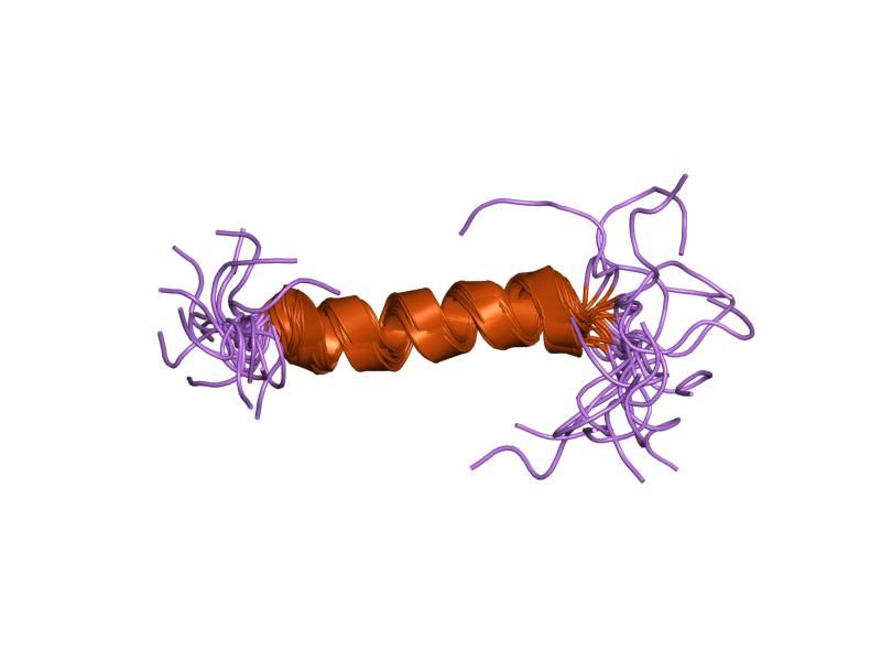 File:PDB 1jdm EBI.jpg