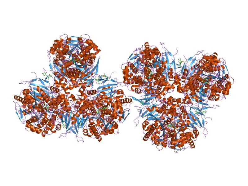 File:PDB 1mx9 EBI.jpg