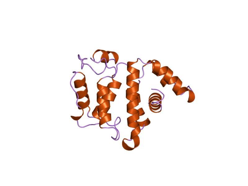 File:PDB 1rgp EBI.jpg